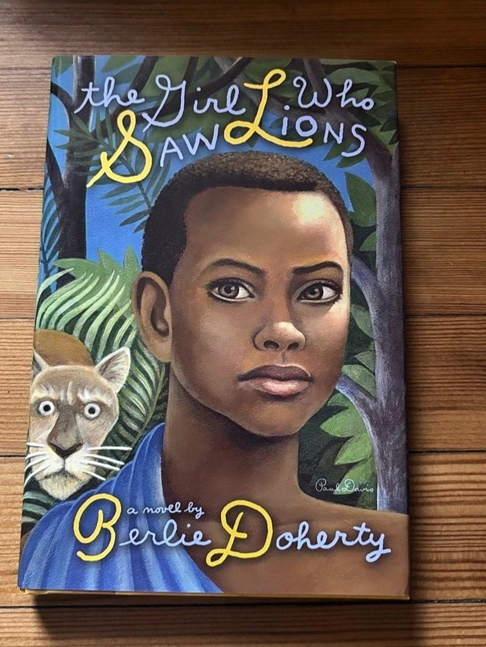 The Girl Who Saw Lions by Berlie Doherty Hardcover Book